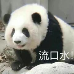 日本遊戲銷售榜前30名全為Switch遊戲，創造33年來紀錄